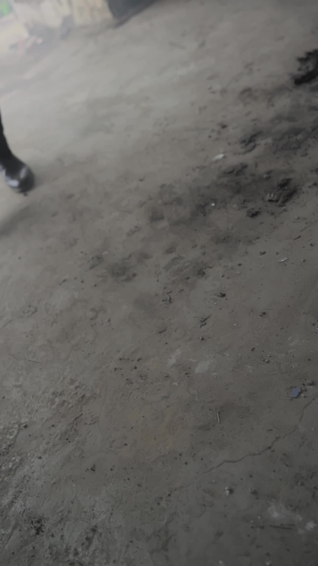 Episódio 37 de À Beira da Verdade do Amor