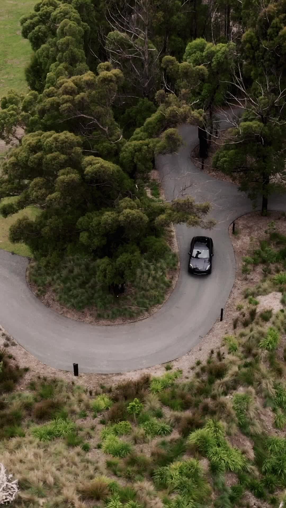 Episódio 8 de A Bruxinha