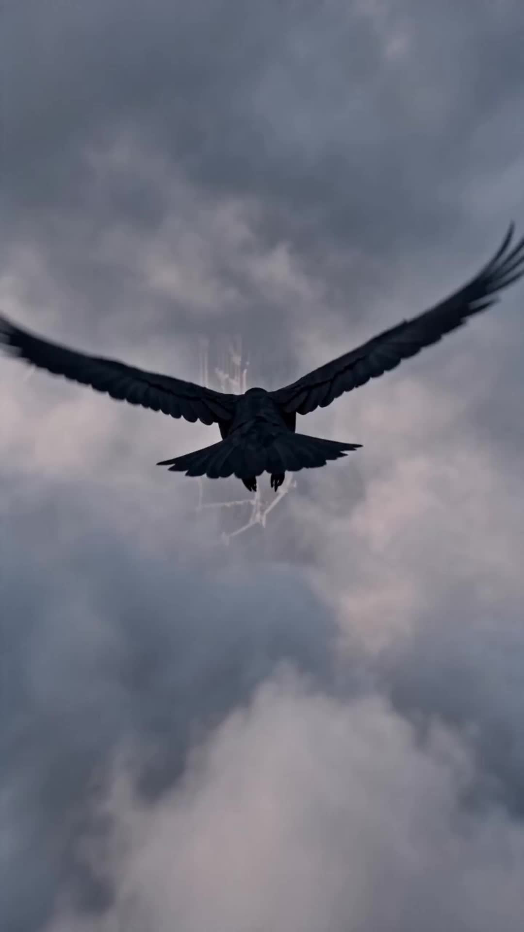 Episódio 1 de A Companheira Compartilhada do Alfa e do Beta