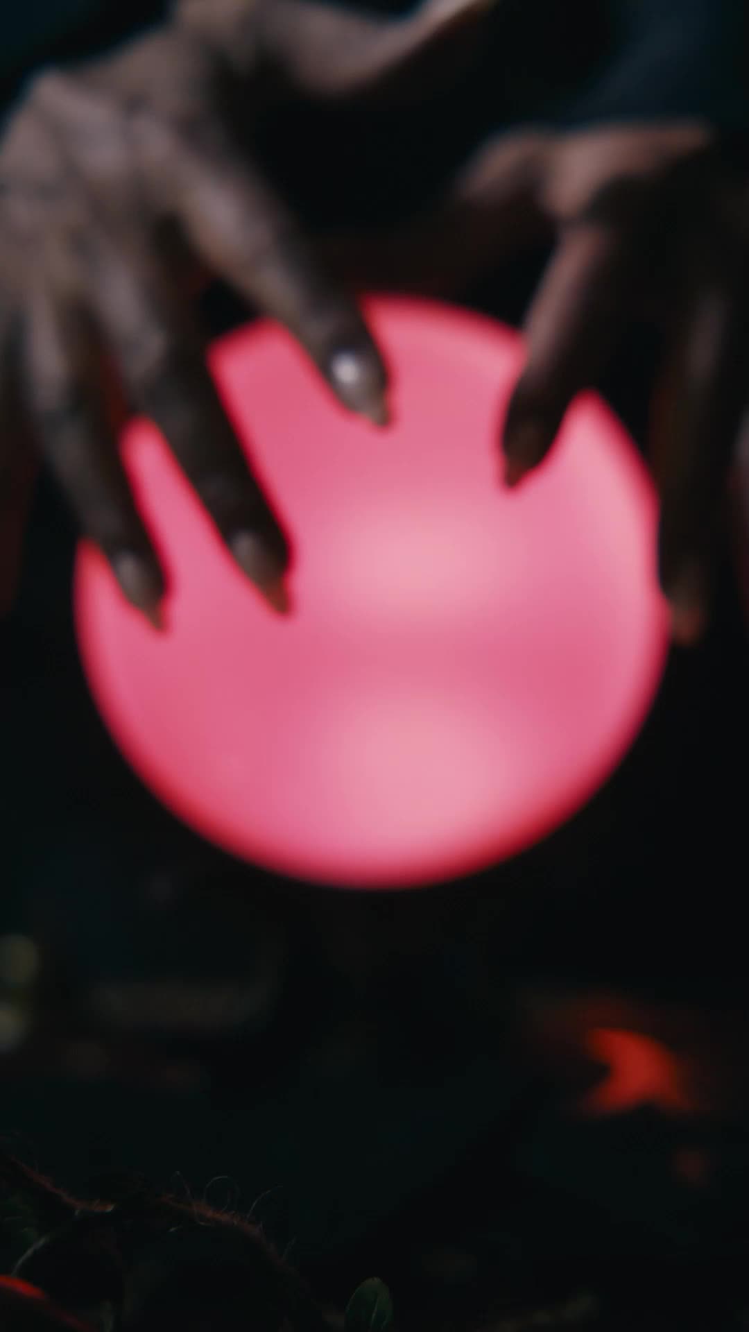 Episódio 1 de A Filha do Alfa