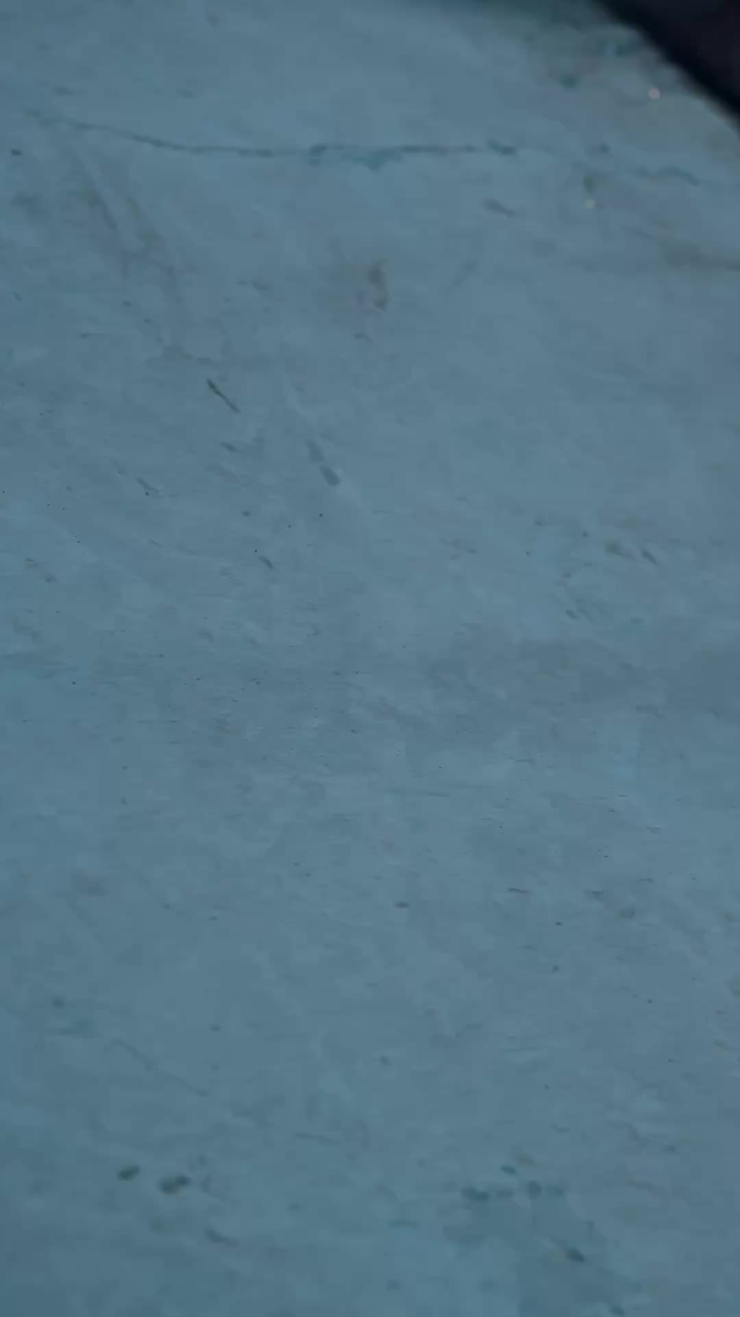 Episódio 43 de A Rainha do Desapego