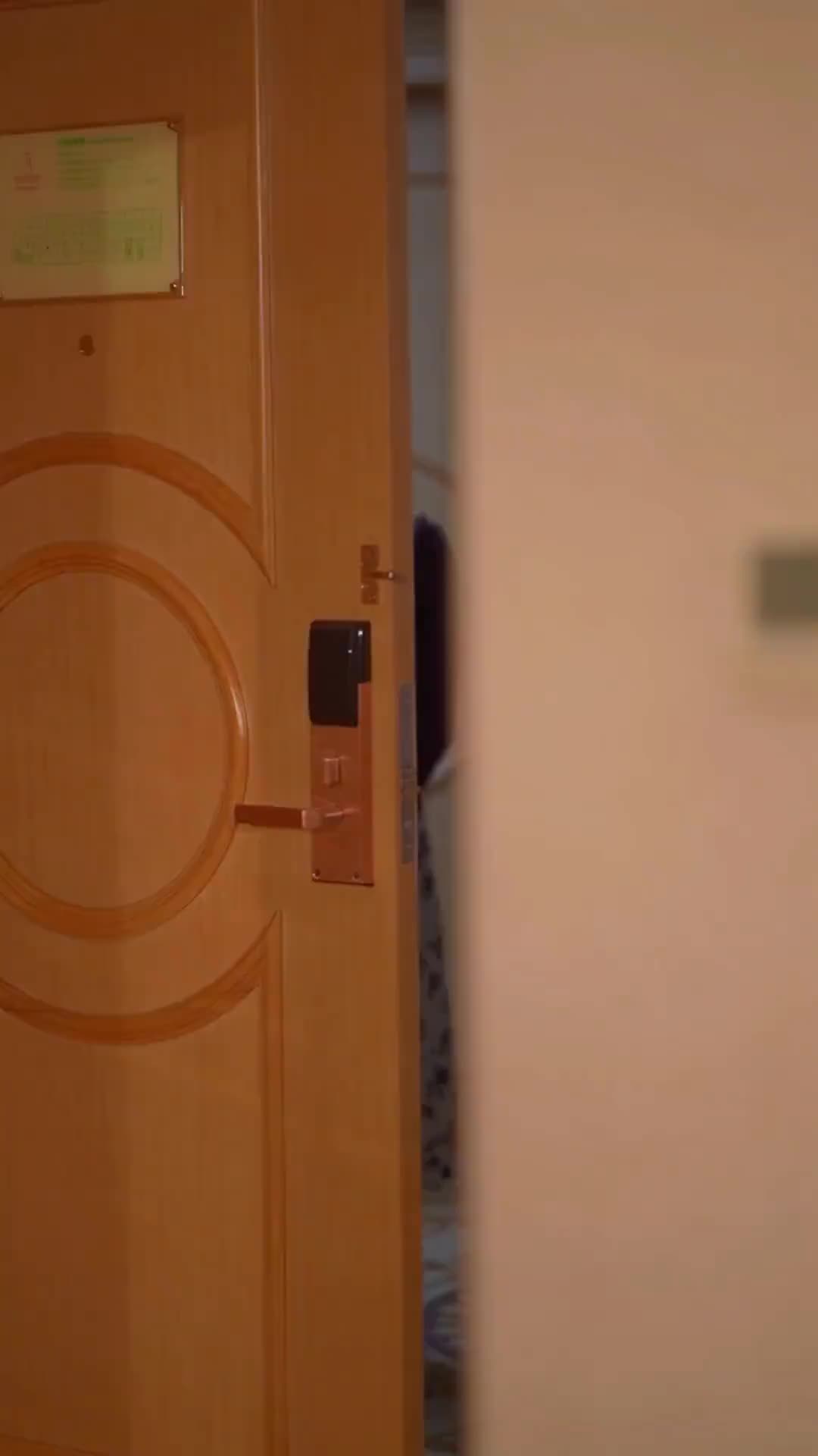 Episodio 9 de Adiós Para siempre, CEO Posesivo