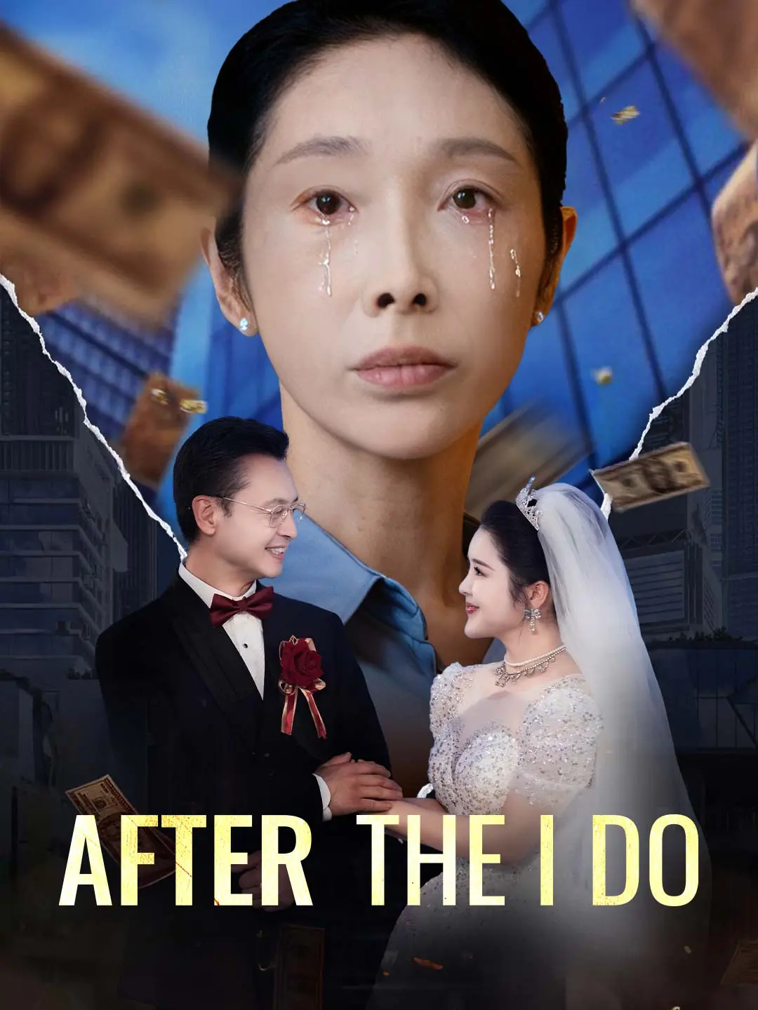 Cover of the miniseries After the I Do
