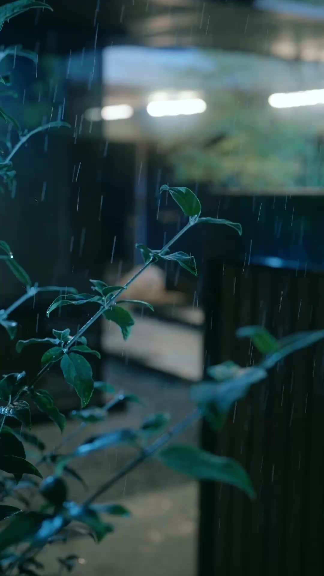 Episodio 1 de Amor a fuego lento