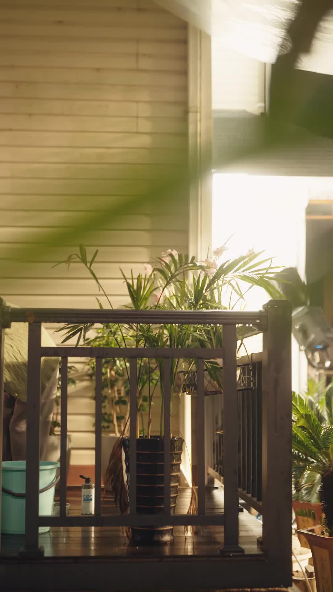 Episódio 13 de Amor, Perdas e Reencontros