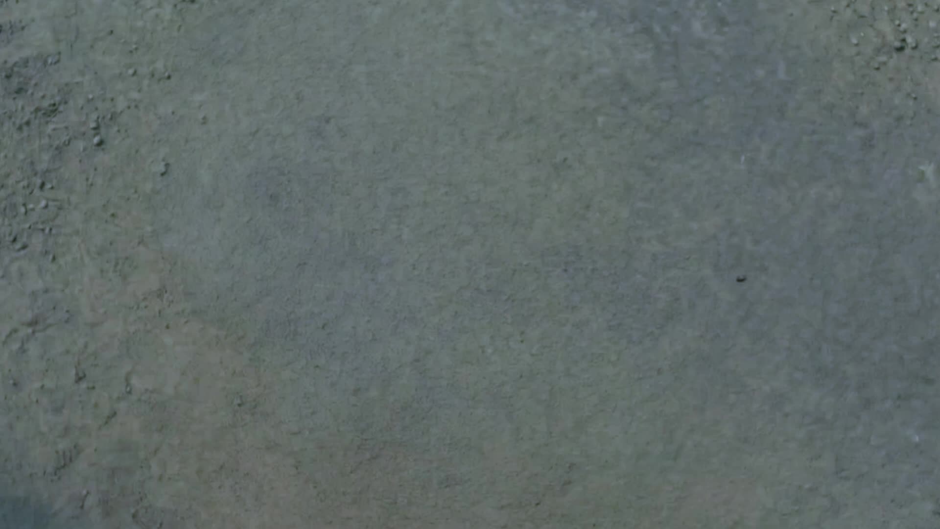 Episódio 37 de AnoMart, regras da terra devastada