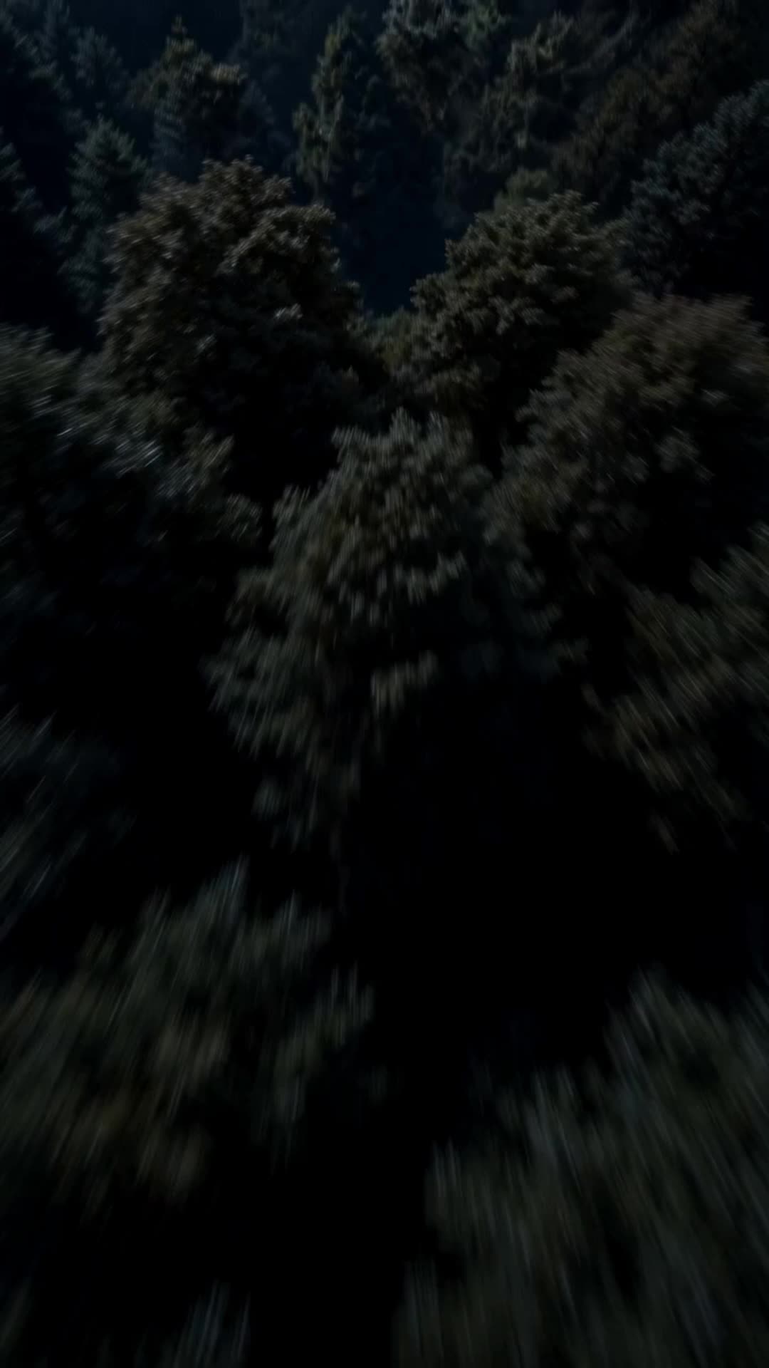 Episódio 1 de Cem Anos de Você