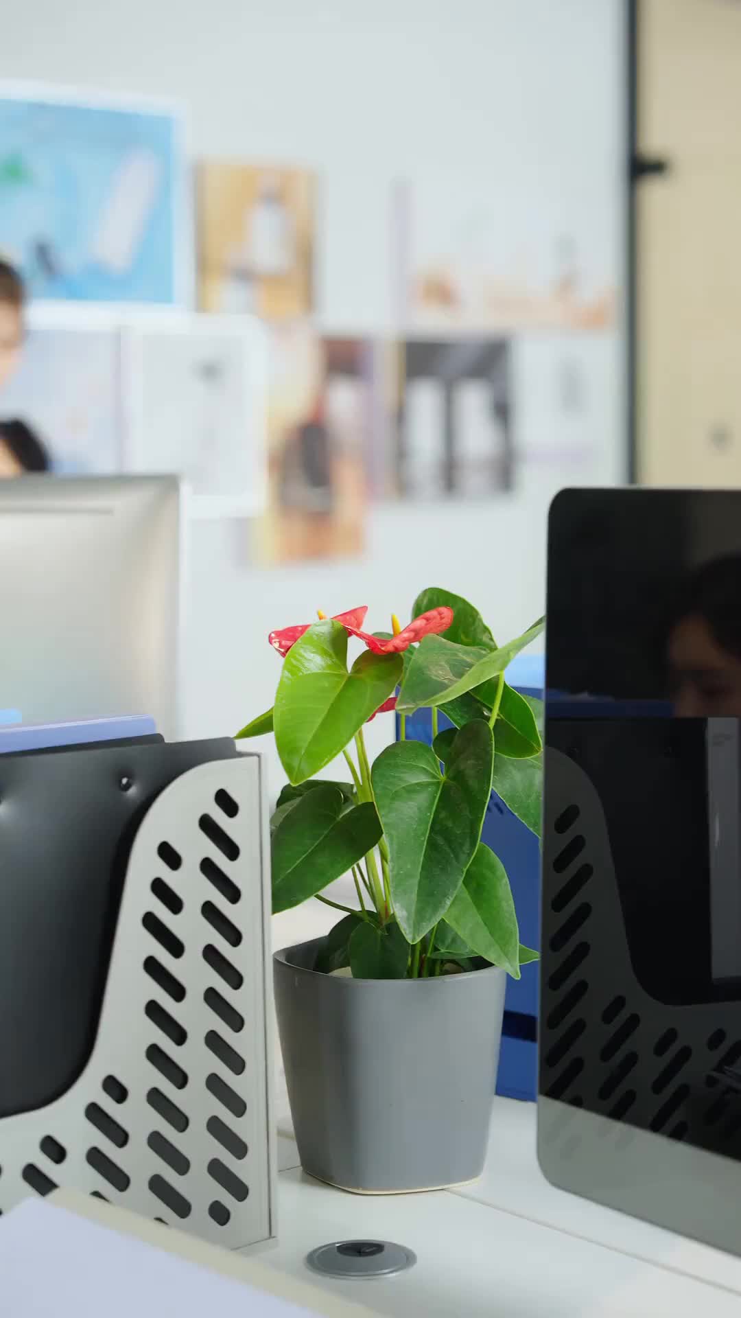 Episodio 25 de CEO,la practicante es su mujer