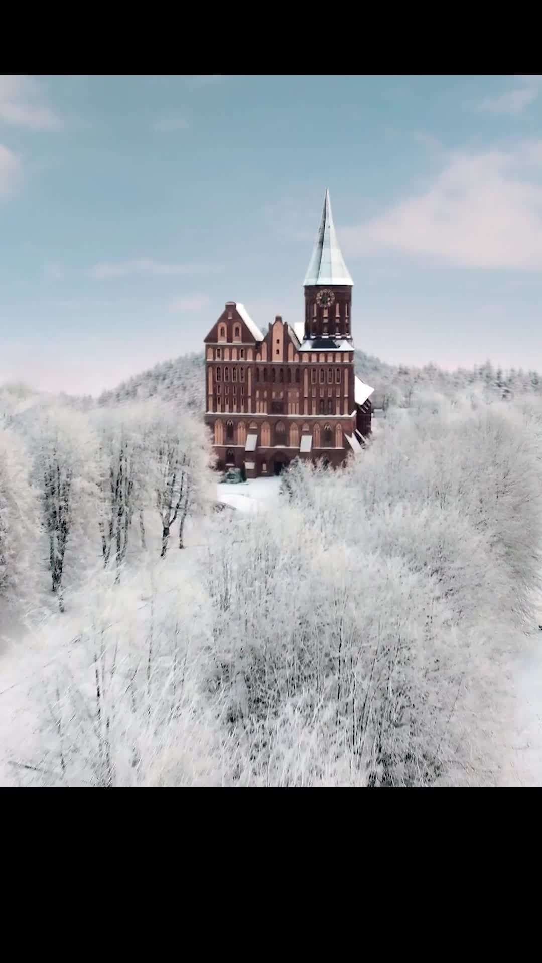 Episode 39 of Christmas with a Prince: Becoming Royal