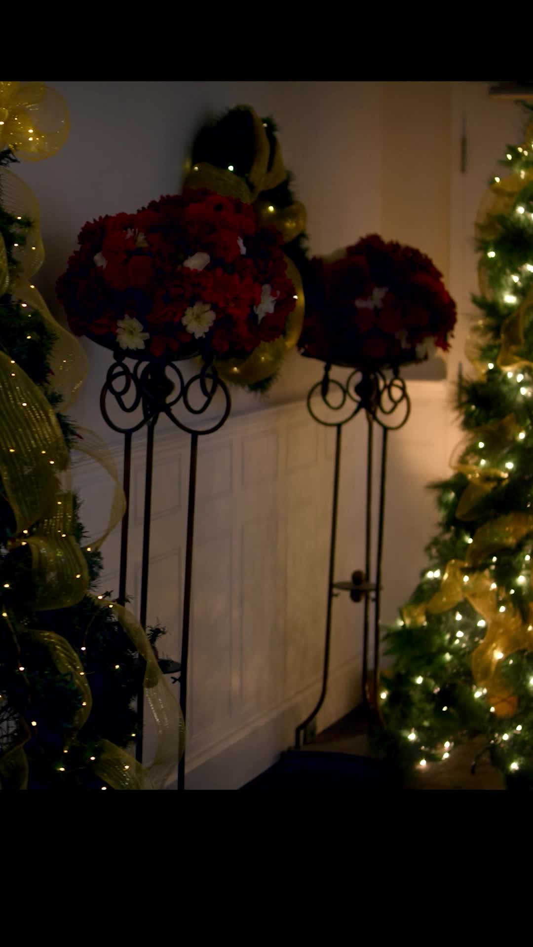 Episode 35 of Christmas with a Prince
