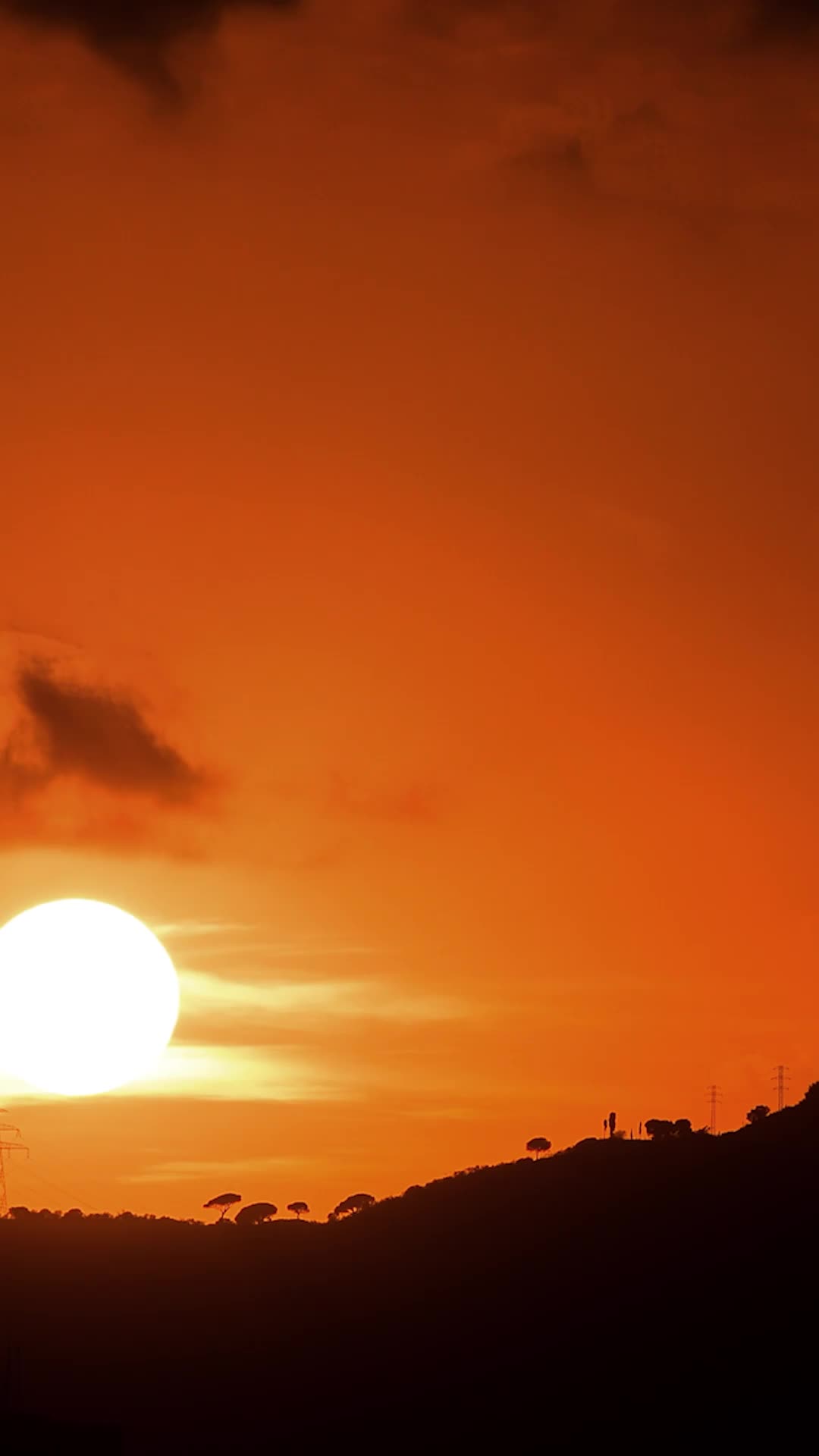 Episódio 47 de Como domar um coroa