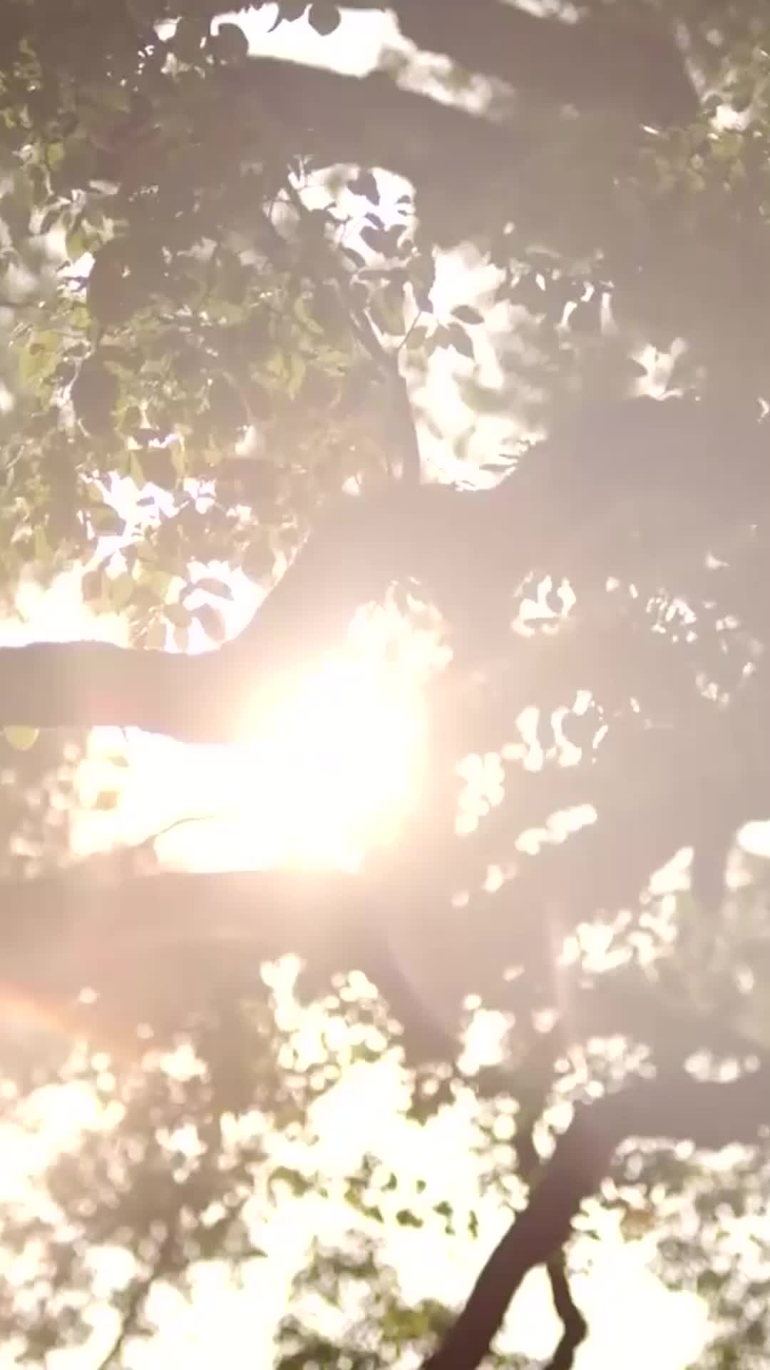 Episódio 15 de Da Pobreza ao Poder: Herdeira