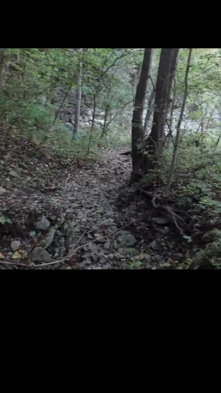 Episode 5 of Dagger Kiss: Enchanted Forest