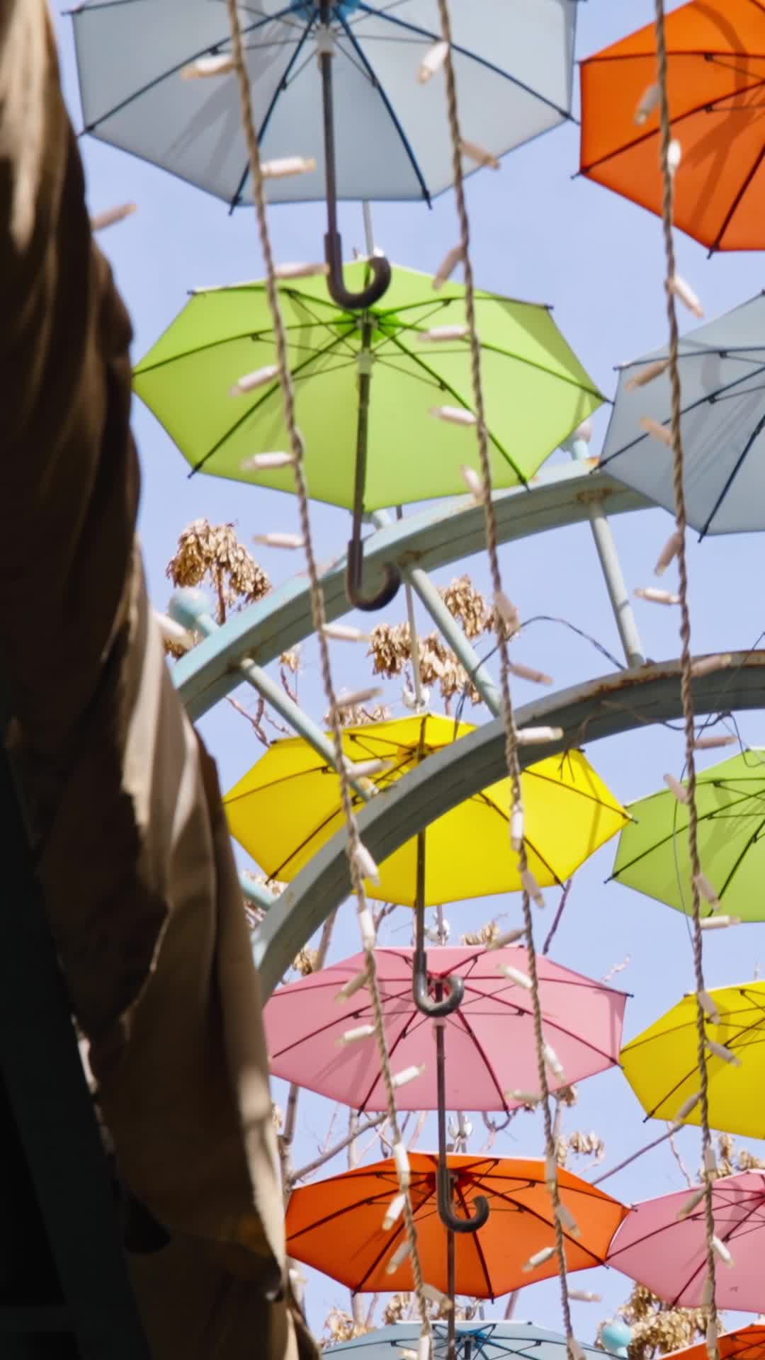 Episódio 17 de De Volta Ao Jogo