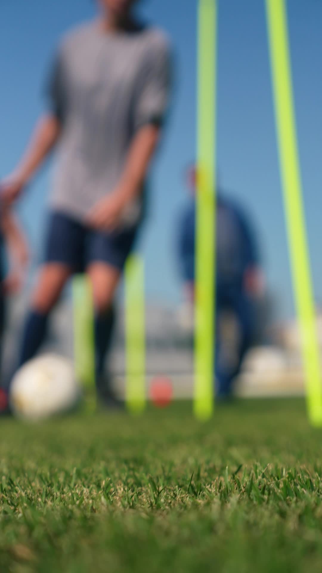 Episódio 55 de De Volta Ao Jogo