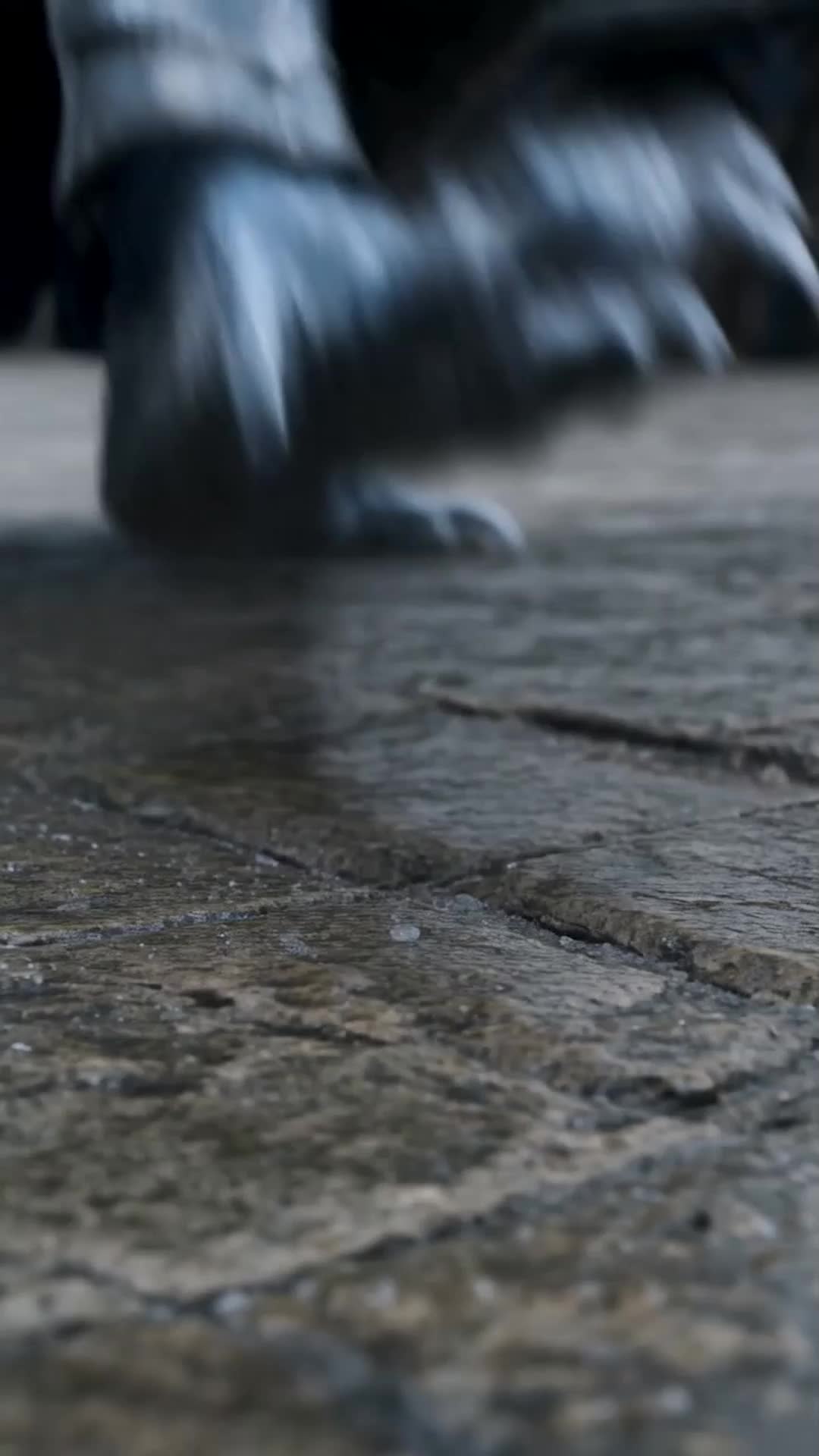 Episódio 2 de Dragão Abandonado, Rainha Ascendente