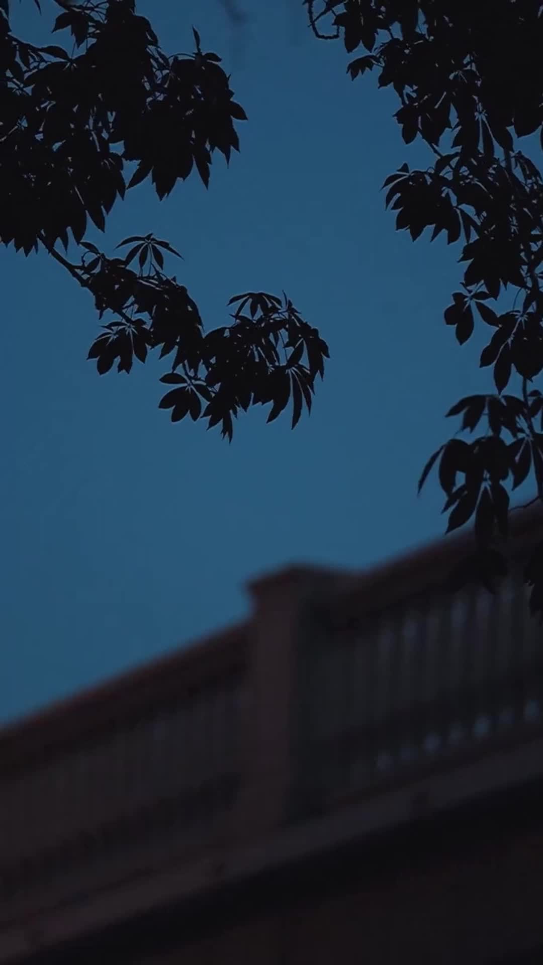 Episodio 5 de Drama en HD