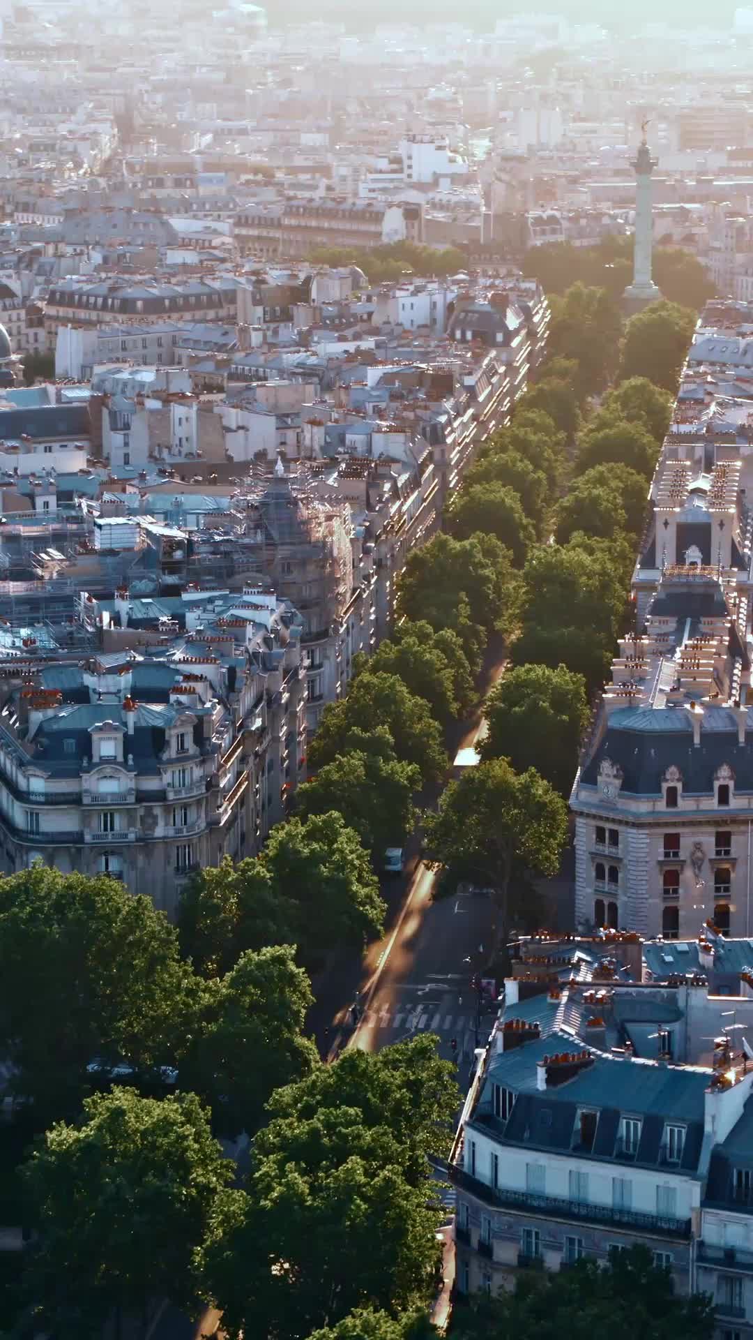 Episodio 6 de El amor la encontró en París