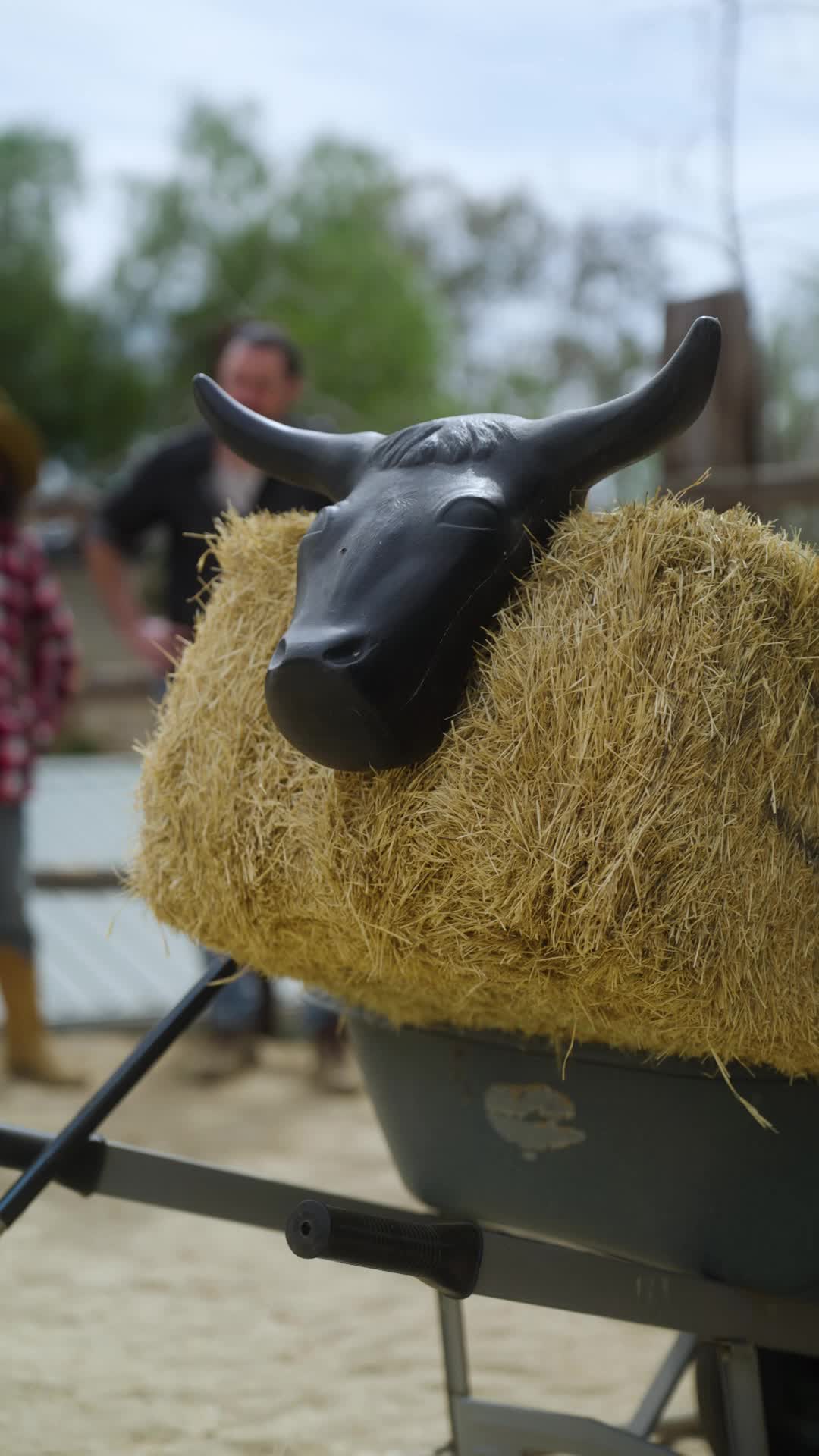 Episodio 14 de El bebé del vaquero