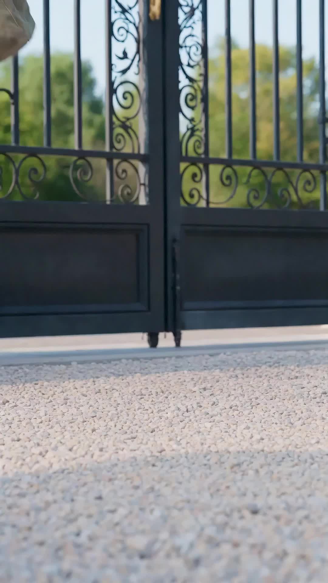Episodio 1 de El juramento secreto del agente supremo