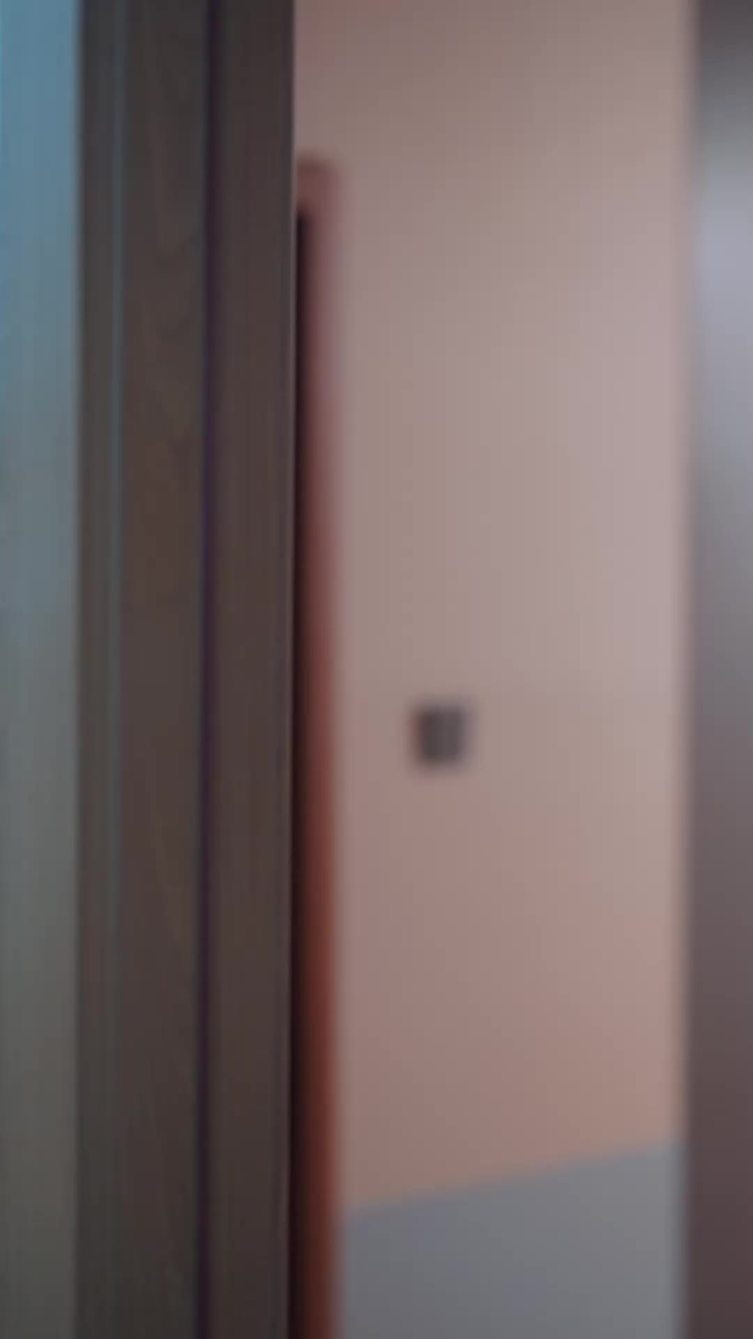 Episodio 66 de El matrimonio falso se hizo real