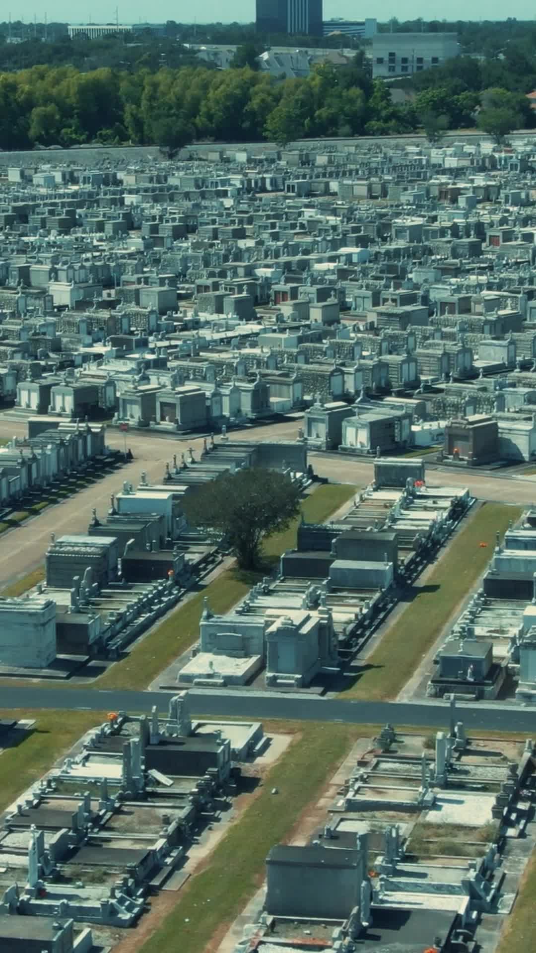Episodio 12 de El que nunca puedo olvidar