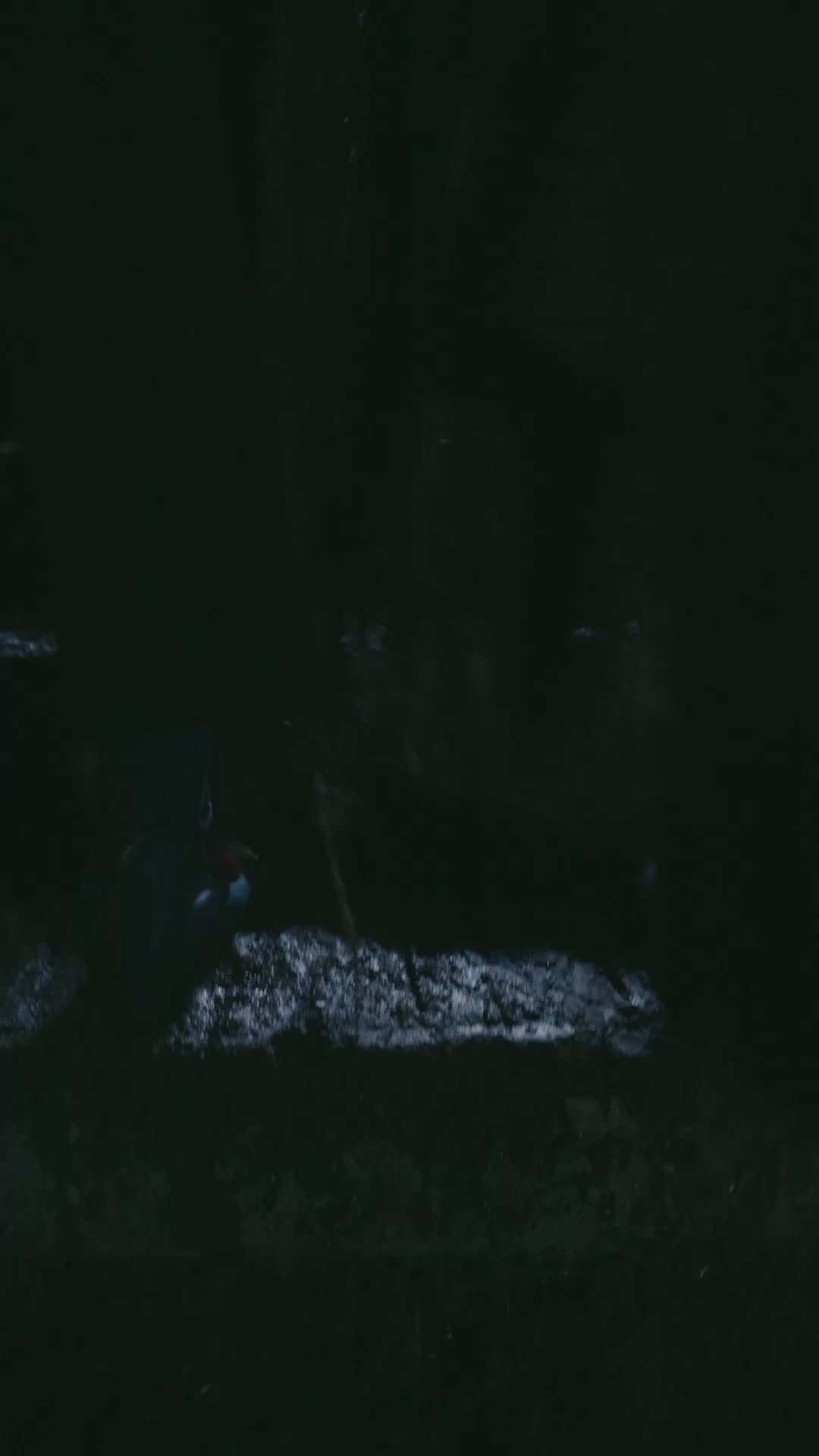Episodio 50 de El que se levanta por sangre