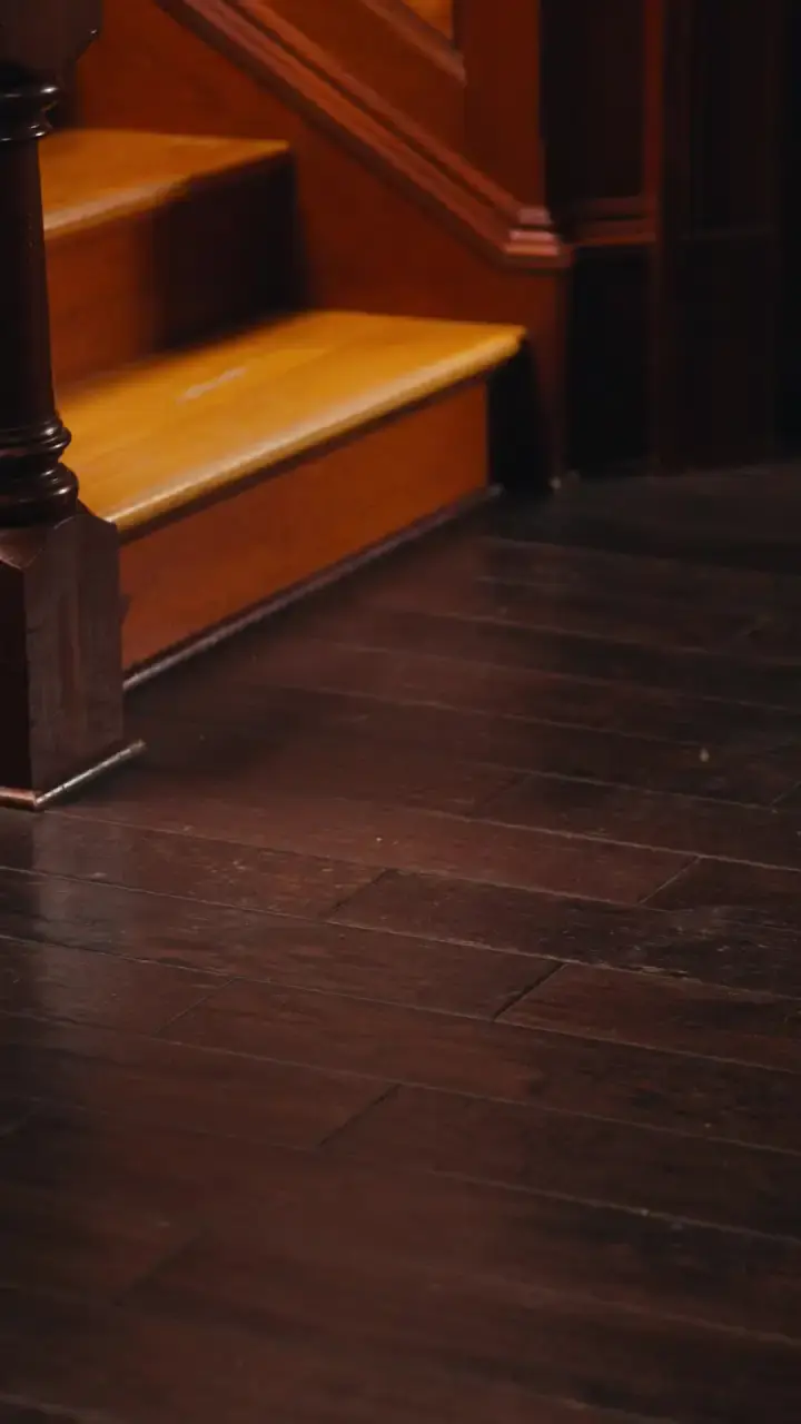 Episodio 3 de El renacimiento del rey licántropo