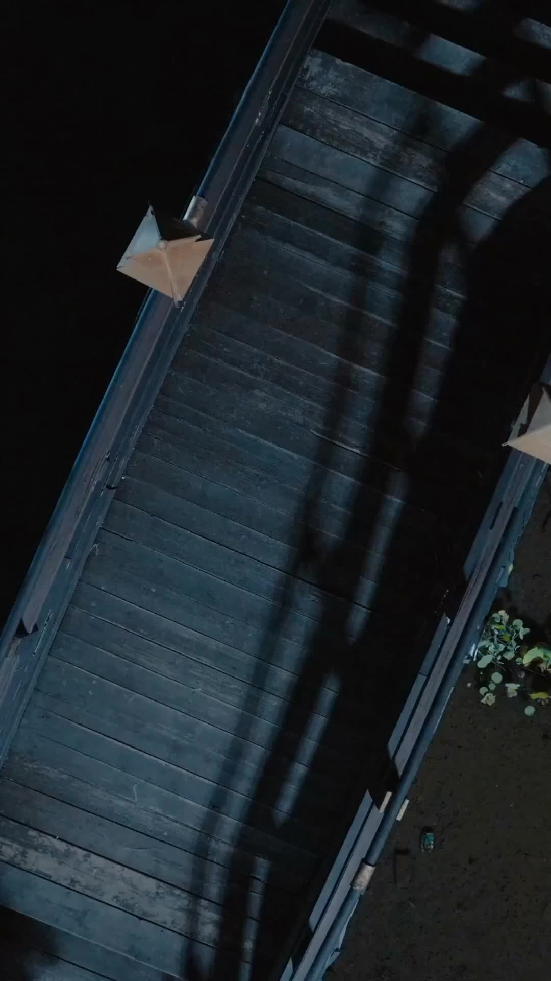 Episodio 33 de El sanador que encontré entre los muertos