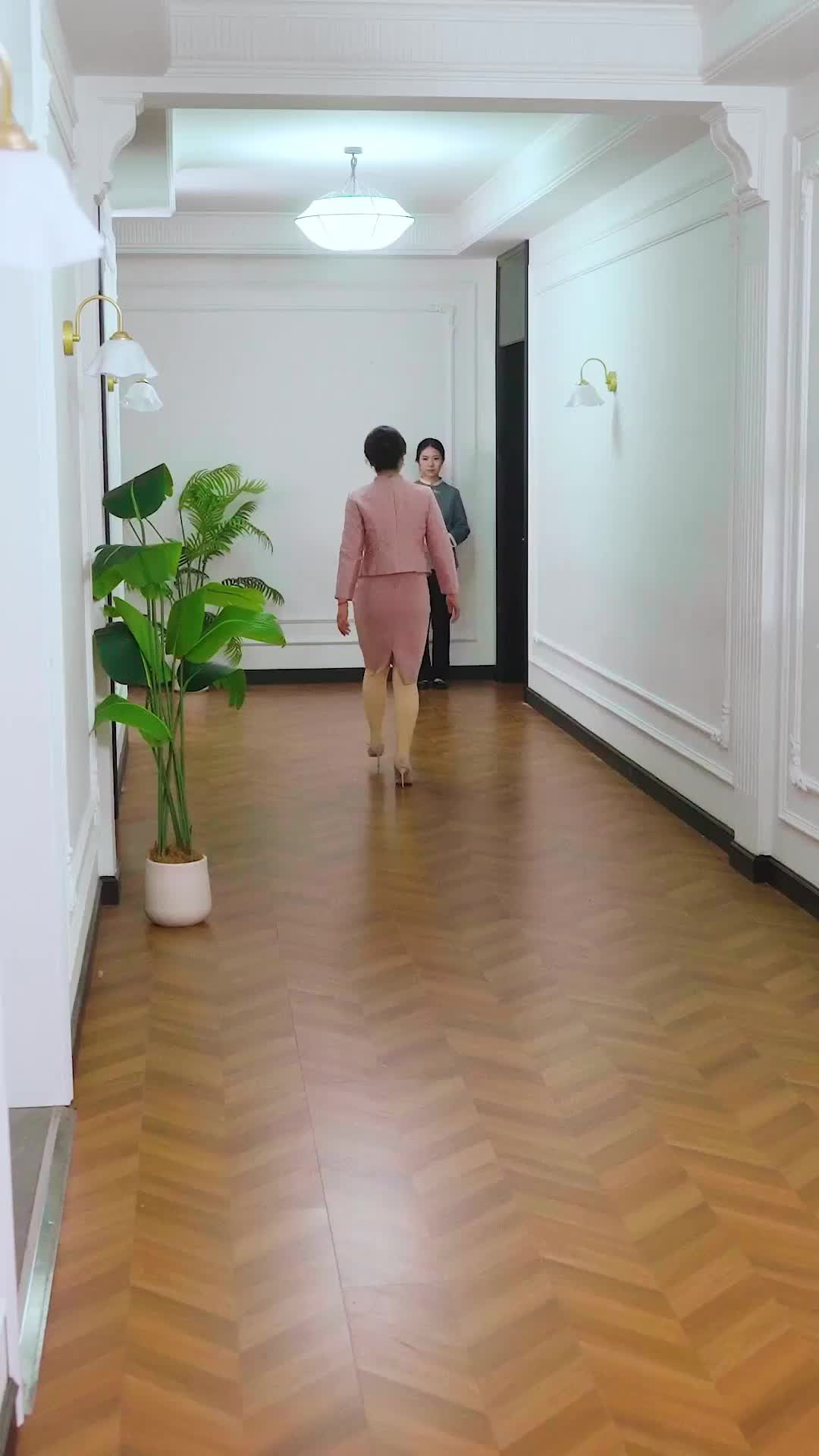 Episodio 28 de Él suplicó, ella se fue