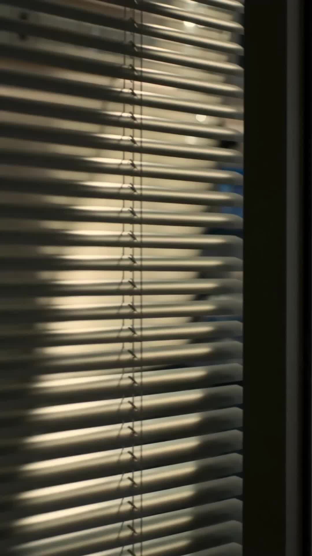 Episódio 24 de Ele Pagou por Uma Noite, Depois a Quis para Sempre