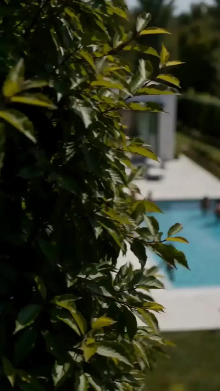 Episodio 1 de Embarazada en secreto del hijo del multimillonario