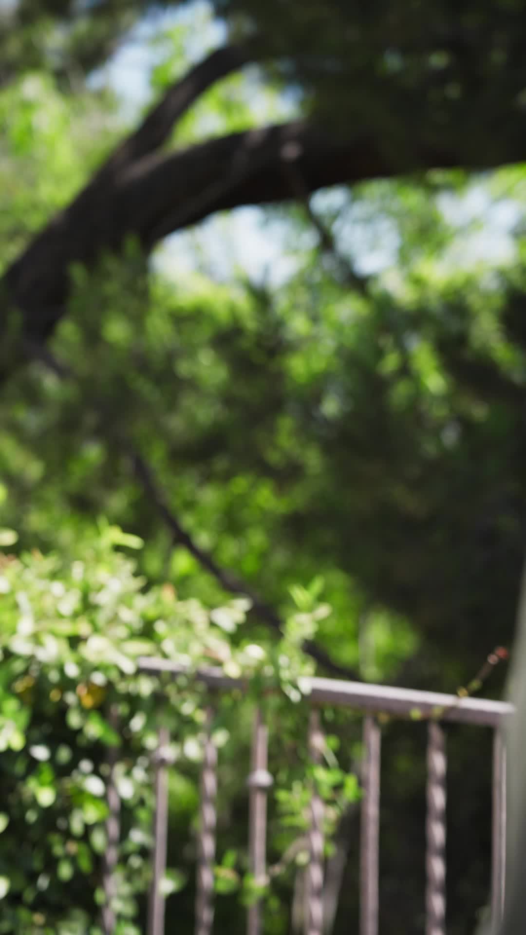 Episodio 40 de Embarazada y Casada con una Estrella de Cine