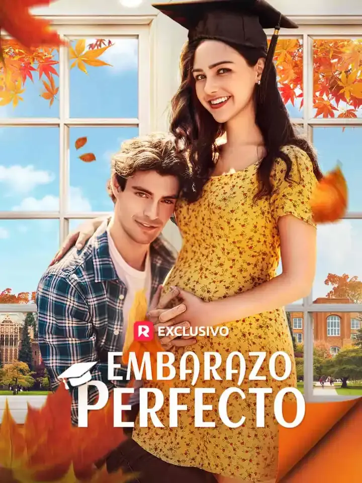 Portada de la miniserie Embarazo Perfecto