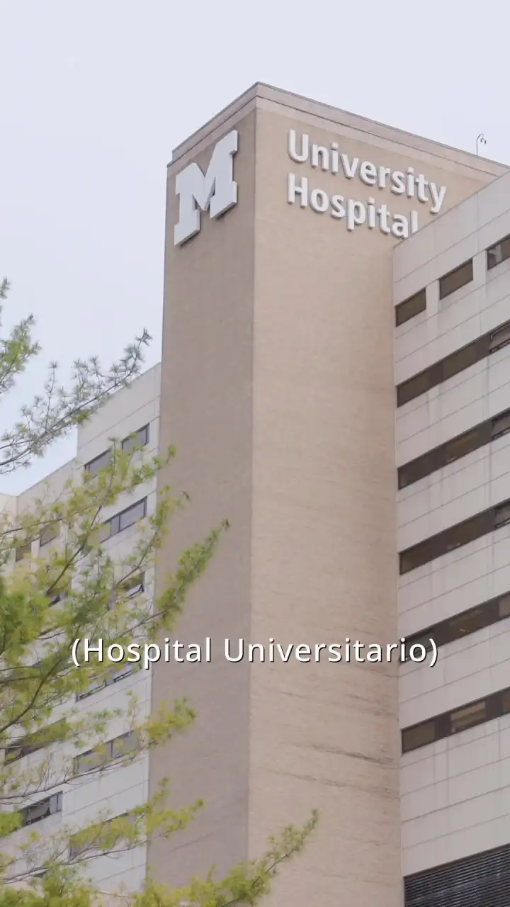 Episodio 22 de Embarazo Perfecto