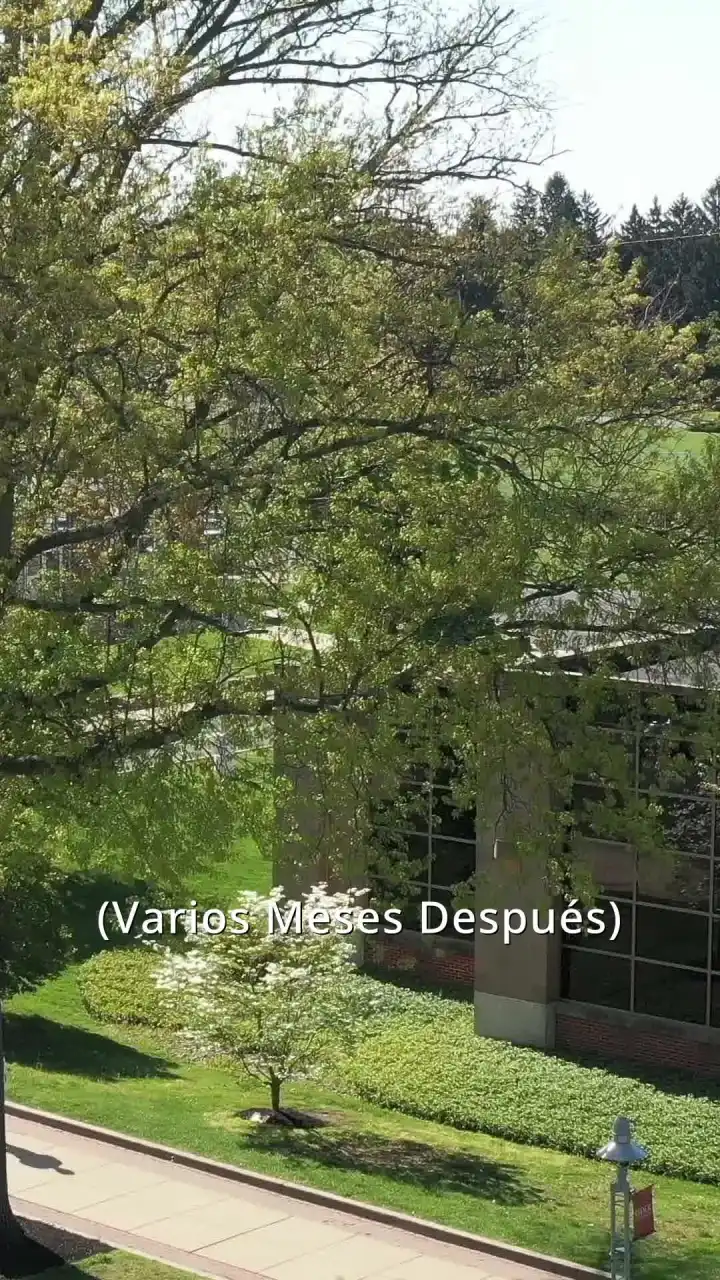 Episodio 43 de Embarazo Perfecto
