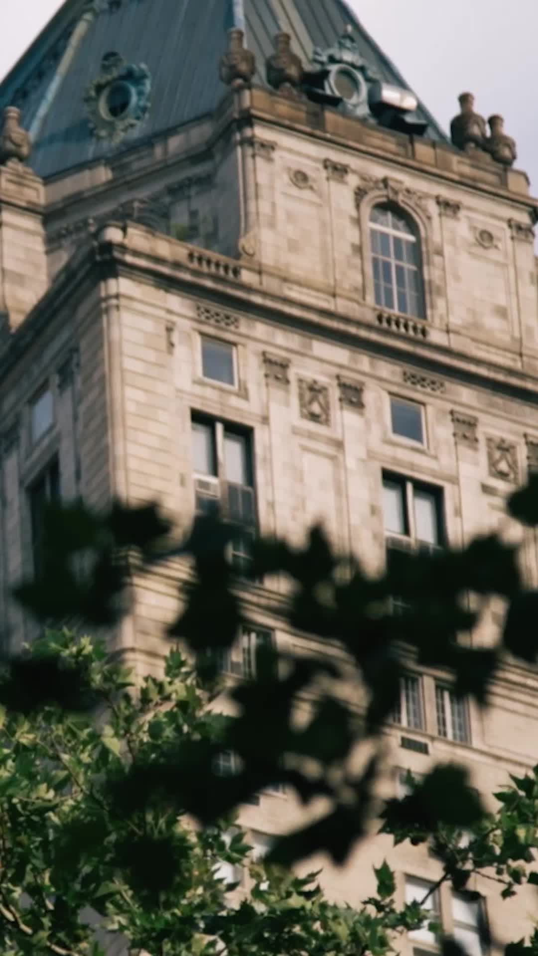 Episódio 8 de Encantado com o CEO