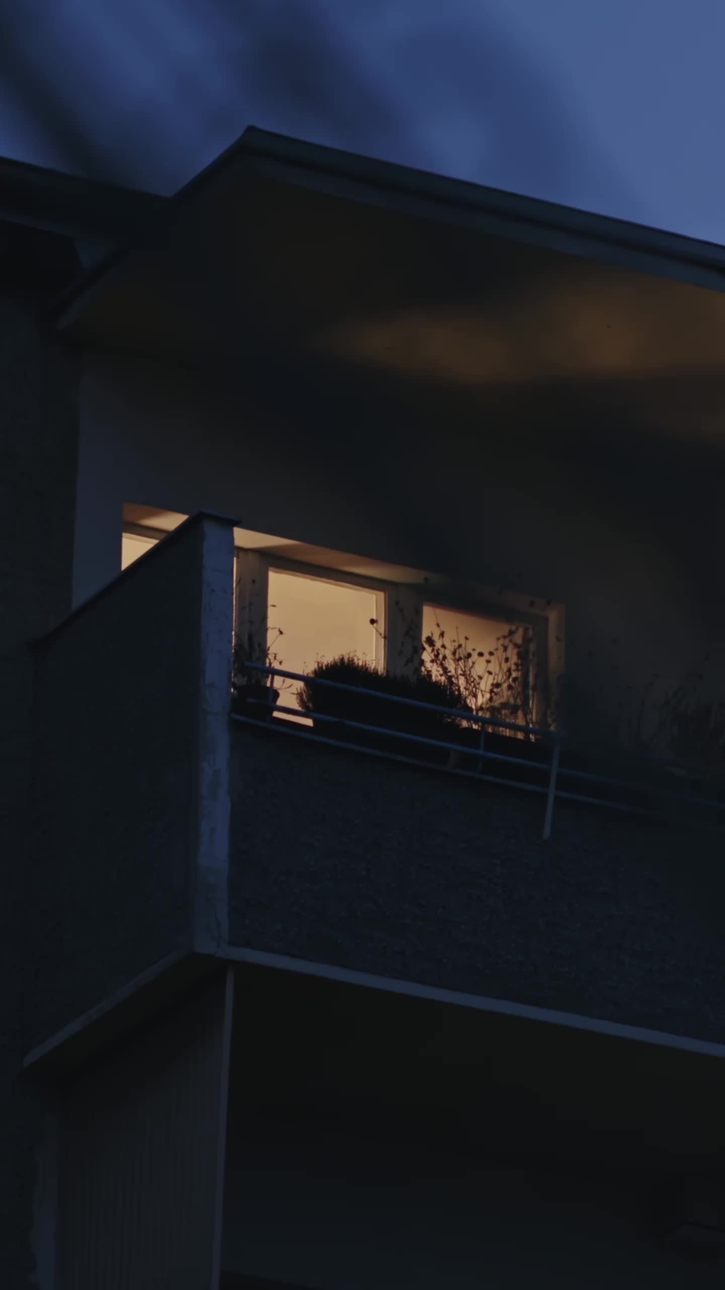 Episódio 20 de Entre a Lealdade e o Amor