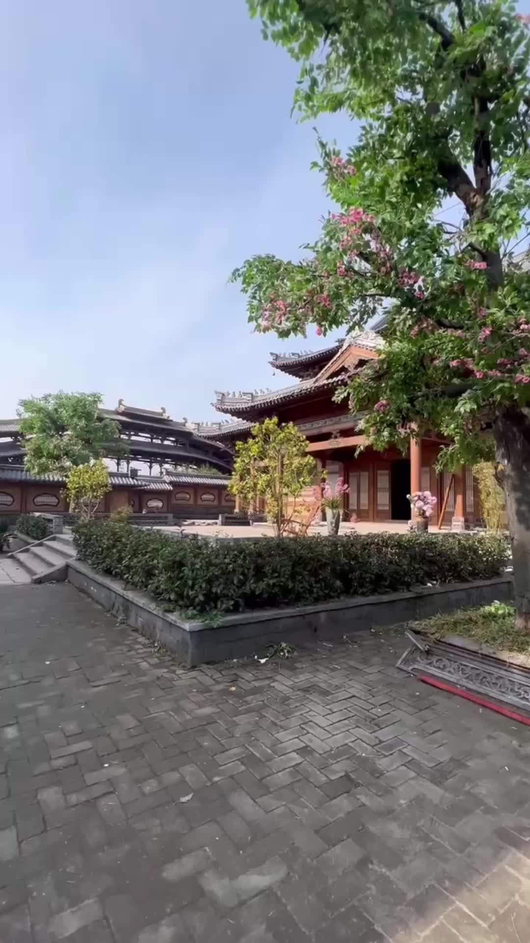 Episode 37 of Eternal Dragon Emperor