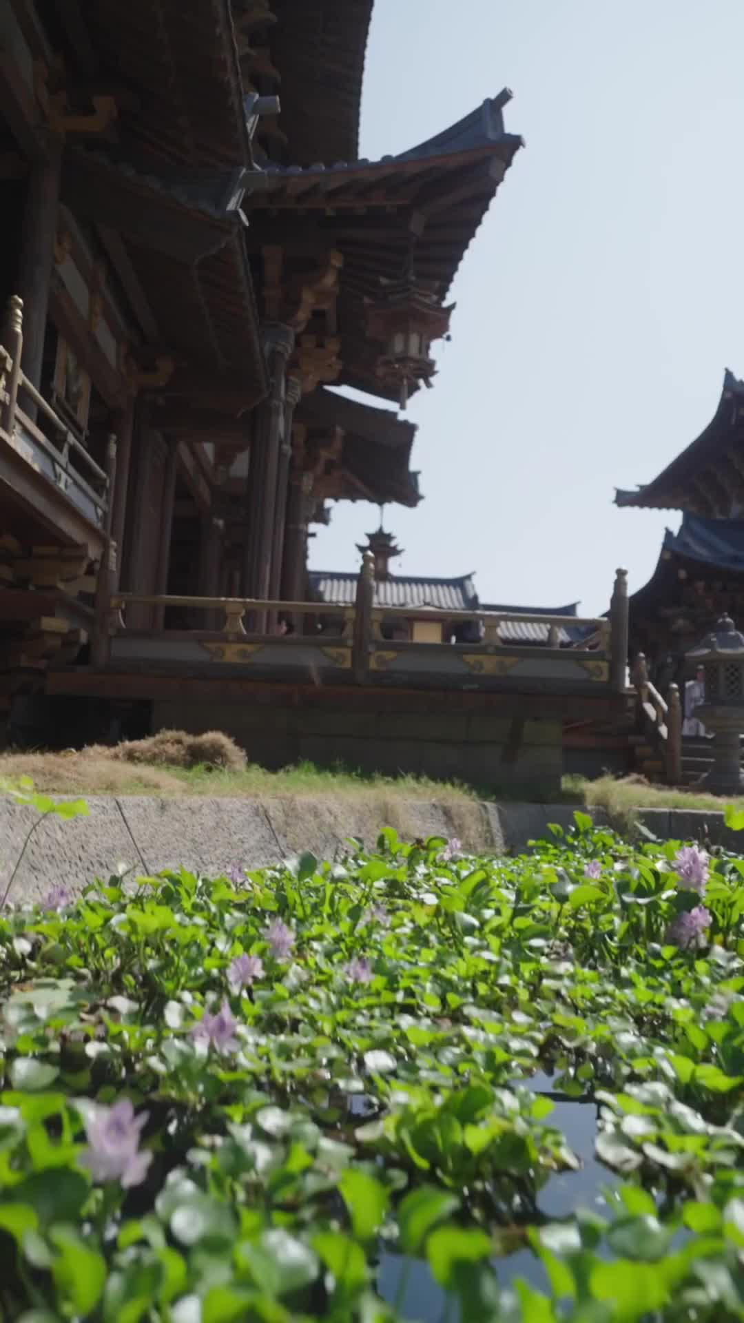 Episode 45 of Eternal Dragon Emperor