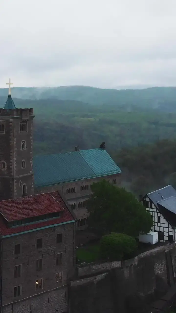 Episode 1 of Fated to My Forbidden Vampire