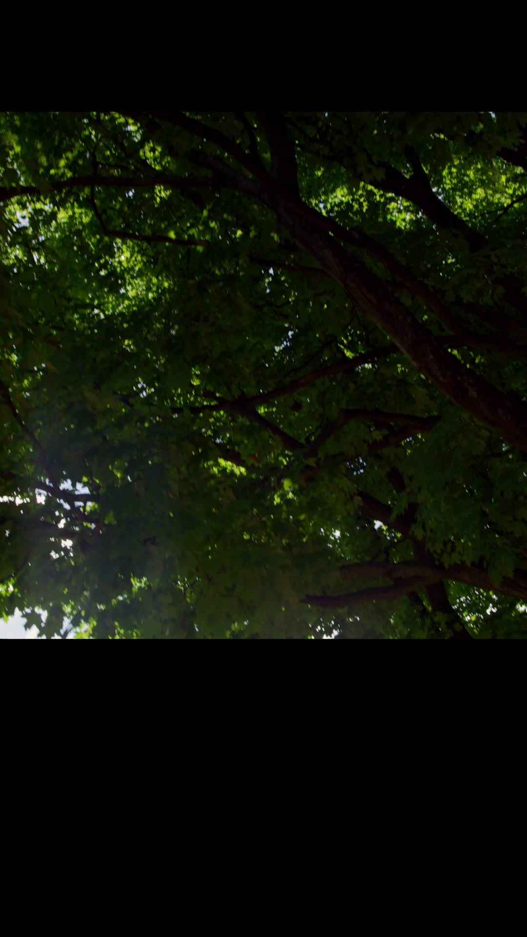 Episode 20 of Forest Fairies
