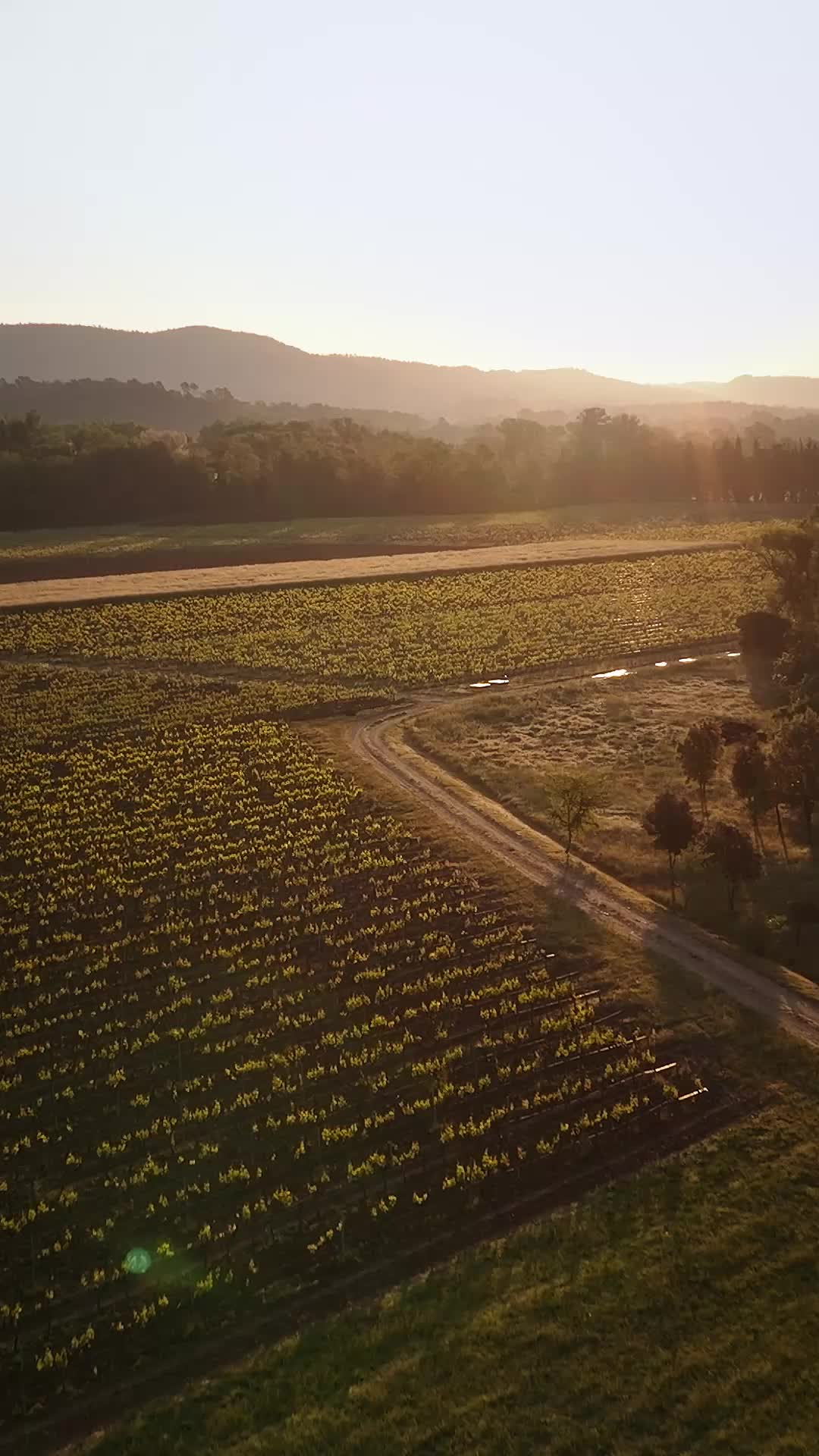 Episode 1 of Freed by the Sexy Farmer