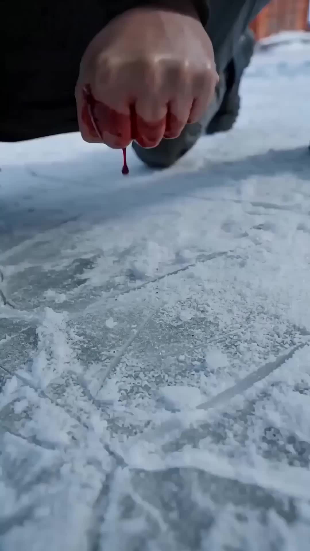 Episode 4 of Glacial Swarm