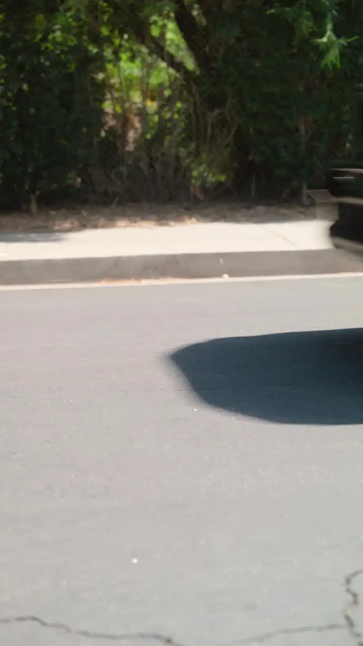 Episode 26 of I Don't Need No Alpha Brothers