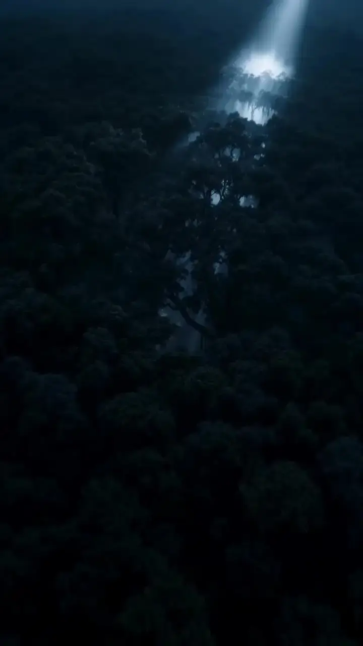 Episode 1 of I Gave Birth to the Strongest Alpha Werewolf King
