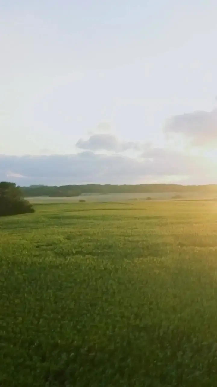 Episode 8 of In Love with a Single Farmer-Daddy