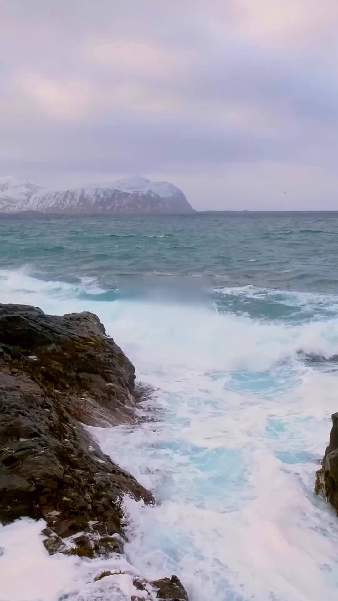 Episode 1 of Island Survival