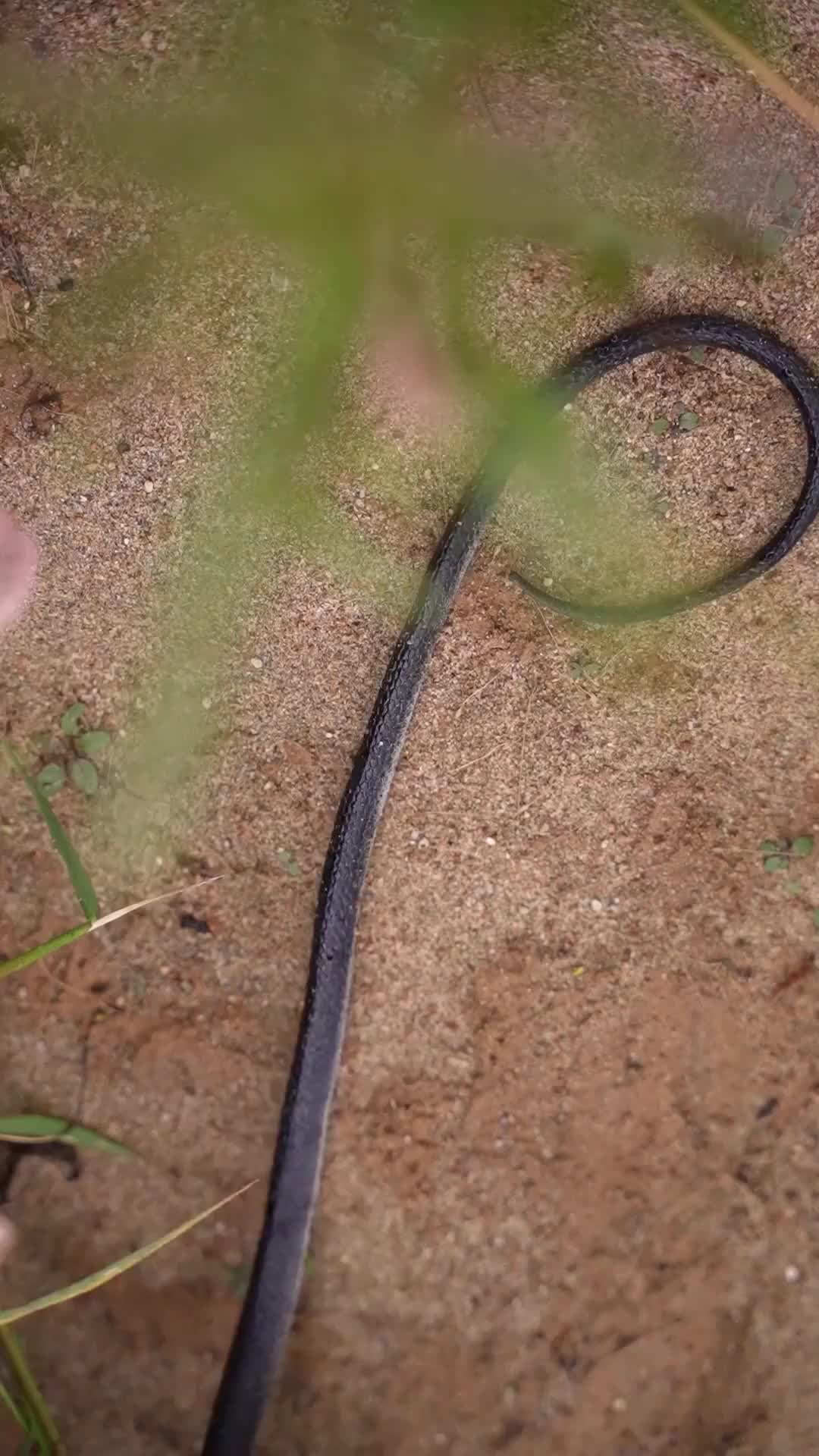Episode 10 of Island Survival
