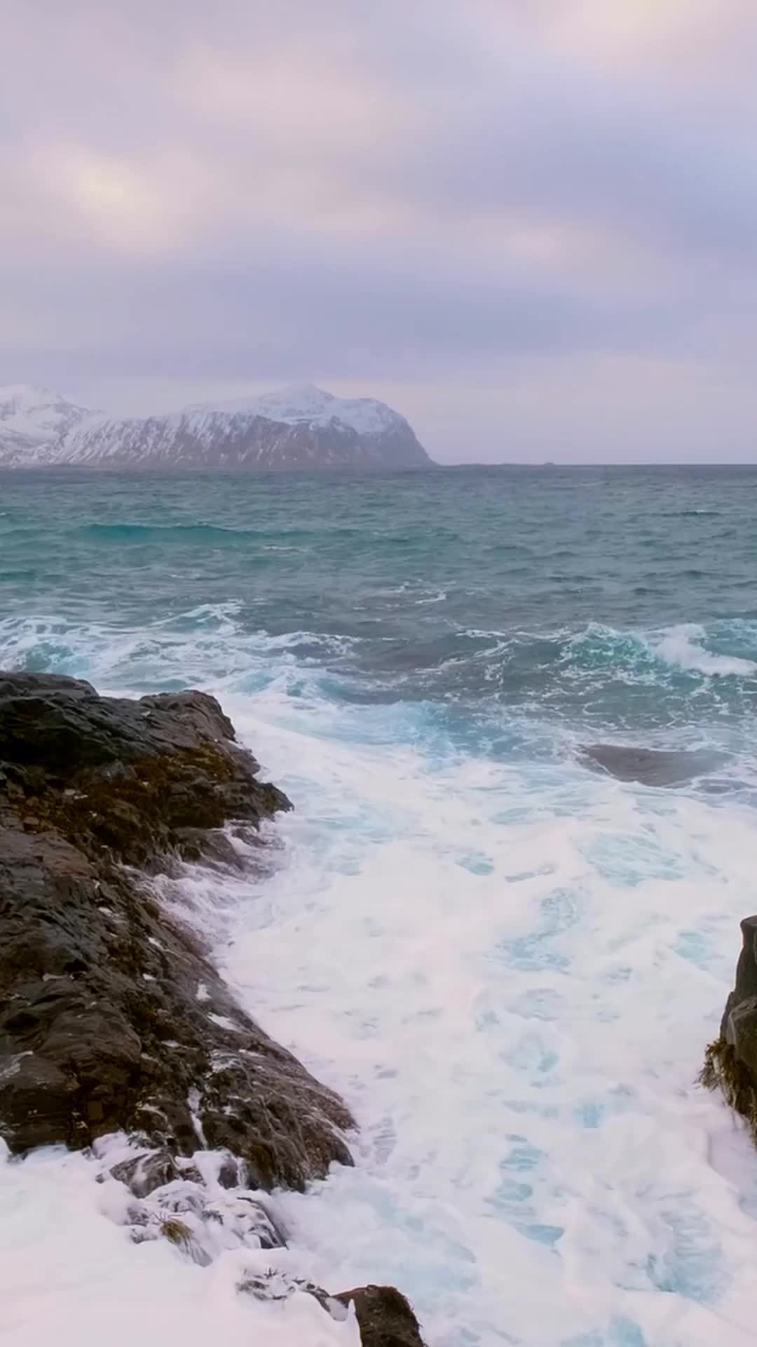 Episode 32 of Island Survival